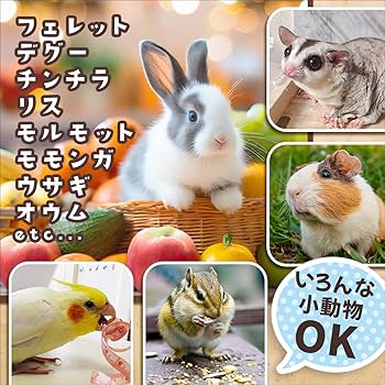 Amazon.co.jp: SALUDABLE ハムスター かじり木 おもちゃ